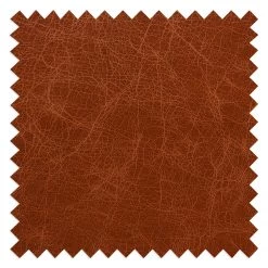 Ars manufacti Canapé Horley - 2 places - Cuir véritable - Cognac vintage -Meubles de salon Soldes 1000015367 200616 19121800056 DETAILS P000000001000015367