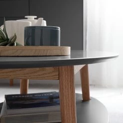 Mørteens Table basse Lindholm - Partiellement en chêne massif - Gris 23 Mørteens Table basse Lindholm - Partiellement en chêne massif - Gris -Meubles de salon Soldes 1000116645 190211 10373900004 GALLERYIMAGES P000000001000116645