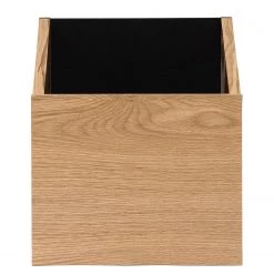 Temahome Étagère One - Chêne / Noir -Meubles de salon Soldes 1000172899 201016 13321400416 DETAILS P000000001000172899