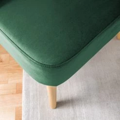 Mørteens Fauteuil Papicu - Velours - Vert foncé -Meubles de salon Soldes 1000176649 210401 16112000006 DETAILS P000000001000176649