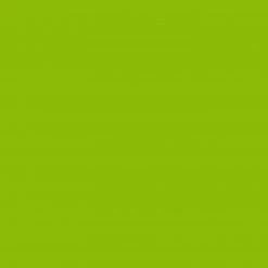 Tenzo Armoire Malibu I - Vert gazon 17 Tenzo Armoire Malibu I - Vert gazon -Meubles de salon Soldes 1000180870 200527 07444401004 DETAILS P000000001000180870