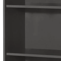 Furnitive Étagère Buzy II - Anthracite - Largeur : 65 cm -Meubles de salon Soldes 1000191321 191031 16045500044 DETAILS P000000001000191321