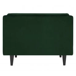 Red Living Fauteuil Botley - Velours - Vert foncé -Meubles de salon Soldes 1000216237 210210 07565200031 DETAILS P000000001000216237