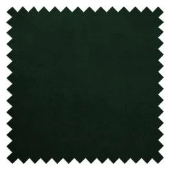 Red Living Fauteuil Botley - Velours - Vert foncé -Meubles de salon Soldes 1000216237 210210 07565600035 DETAILS P000000001000216237