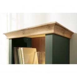 Norrwood Ensemble meubles TV Cardet I (4 élém.) - Vert mousse / Imitation chêne de Wotan 34 Norrwood Ensemble meubles TV Cardet I (4 élém.) - Vert mousse / Imitation chêne de Wotan -Meubles de salon Soldes 1000227559 201016 13035900062 DETAILS P000000001000227559