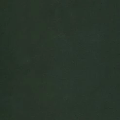 Norrwood Tablette murale Cardet - Vert mousse / Imitation chêne de Wotan -Meubles de salon Soldes 1000227573 201016 13043300091 DETAILS P000000001000227573