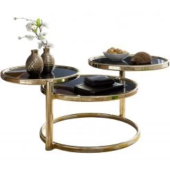 Red Living Table basse Meroux - Verre / Métal - Noir / Doré 13 Red Living Table basse Meroux - Verre / Métal - Noir / Doré -Meubles de salon Soldes 1000244879 210202 14583000202 DETAILS P000000001000244879