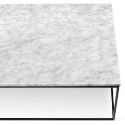 Temahome Table basse Gleam I - Marbre / Métal - Blanc / Noir - Largeur : 120 cm -Meubles de salon Soldes 1000255261 210324 15033600347 DETAILS P000000001000255261