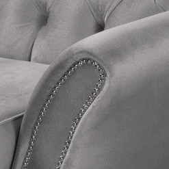 Red Living Fauteuil Dassel - Velours - Velours Onoli: Gris -Meubles de salon Soldes 1000278195 210715 11324300252 DETAILS P000000001000278195