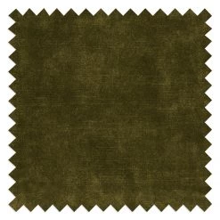 Fredriks Canapé Jurga (2 places) - Velours Tomi: Vert vieilli 21 Fredriks Canapé Jurga (2 places) - Velours Tomi: Vert vieilli -Meubles de salon Soldes 1000291498 210927 13064900493 DETAILS P000000001000291498