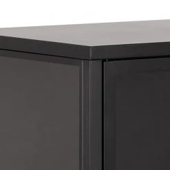 Norrwood Vitrine Cascavel I - Métal - Noir -Meubles de salon Soldes 1000305897 211109 13074800046 DETAILS P000000001000305897