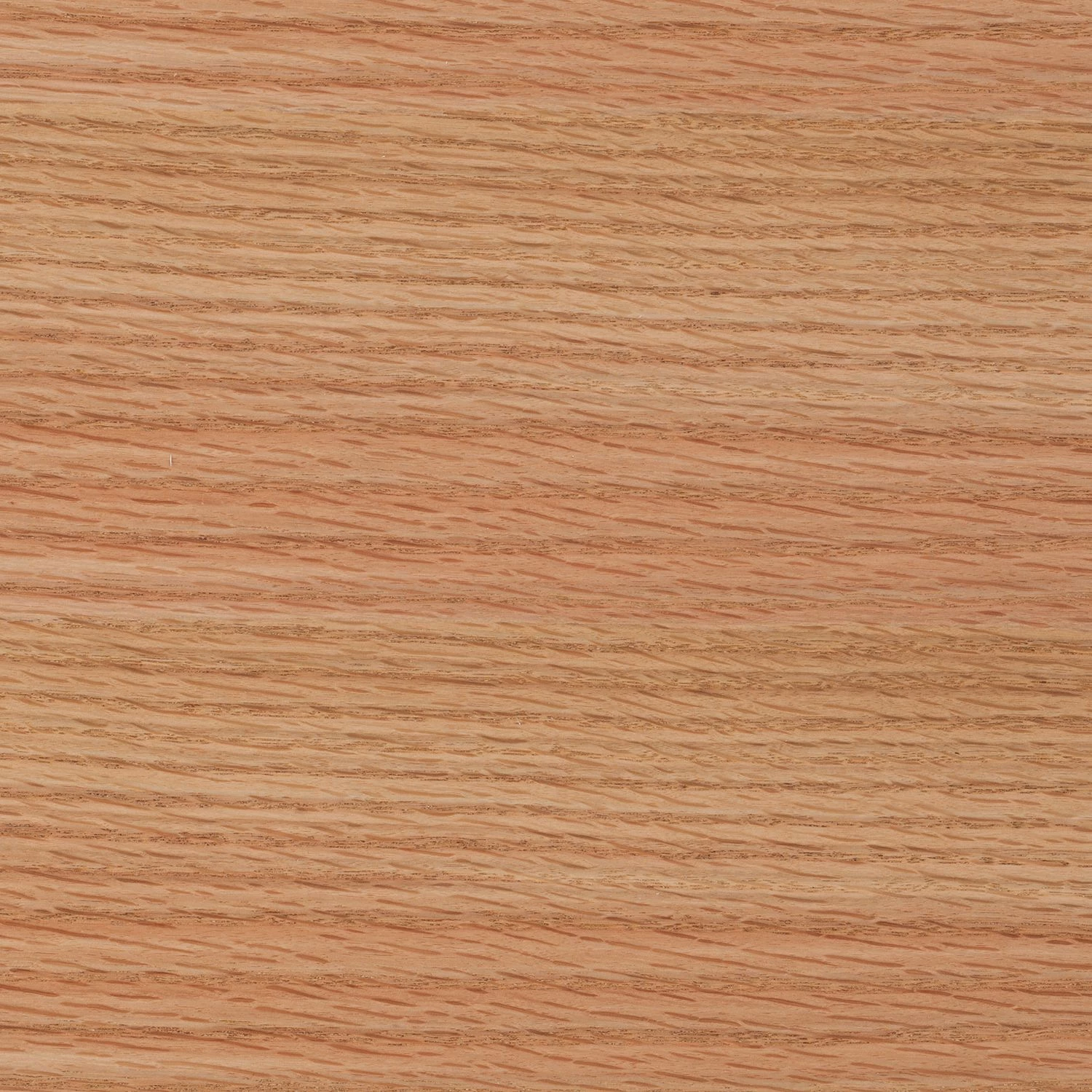 Mørteens Étagère murale Lindholm - Blanc mat - Blanc mat 8 Mørteens Étagère murale Lindholm - Blanc mat - Blanc mat – Image 6