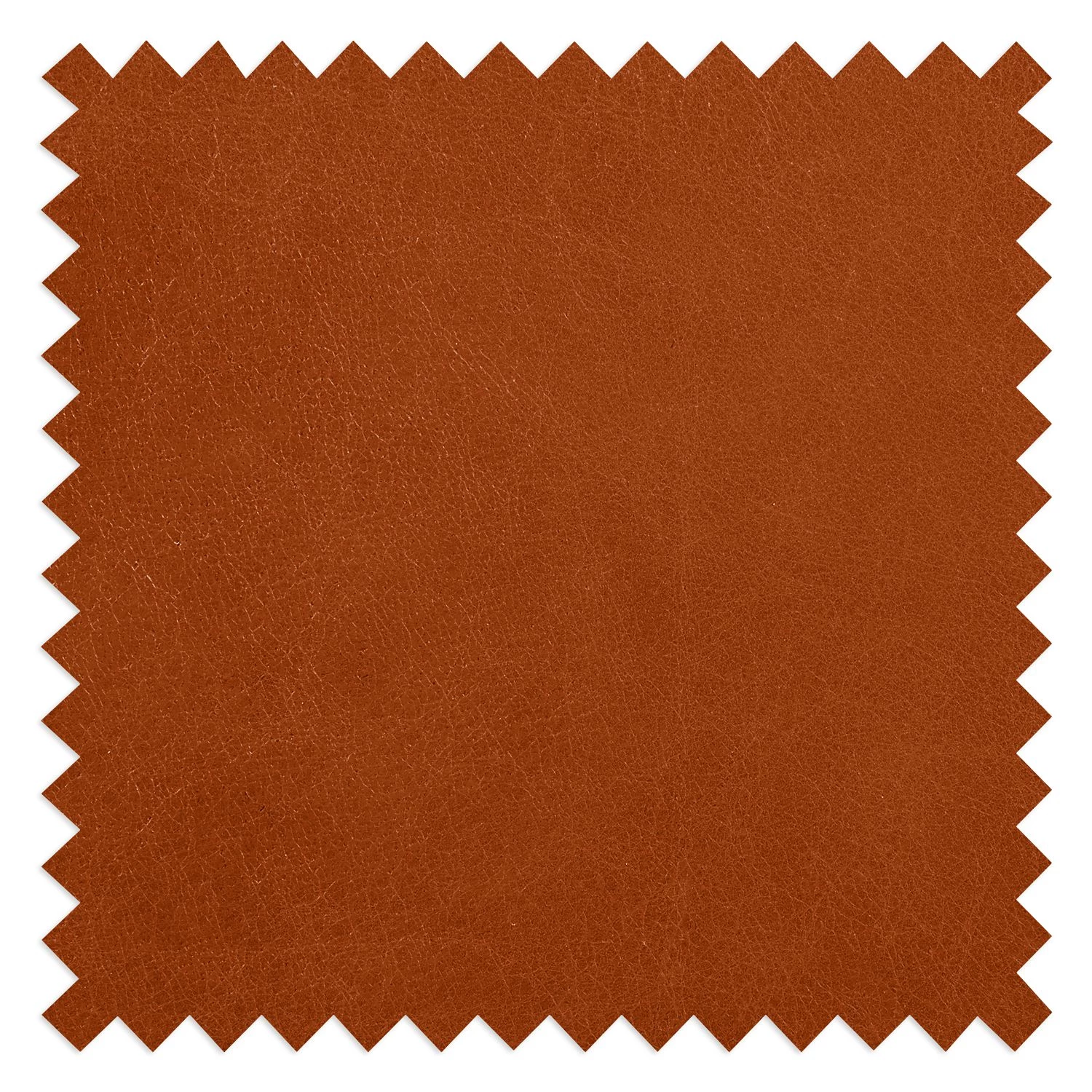 Ars manufacti Canapé panoramique Horley Cuir véritable - Cognac 14 Ars manufacti Canapé panoramique Horley Cuir véritable - Cognac – Image 12